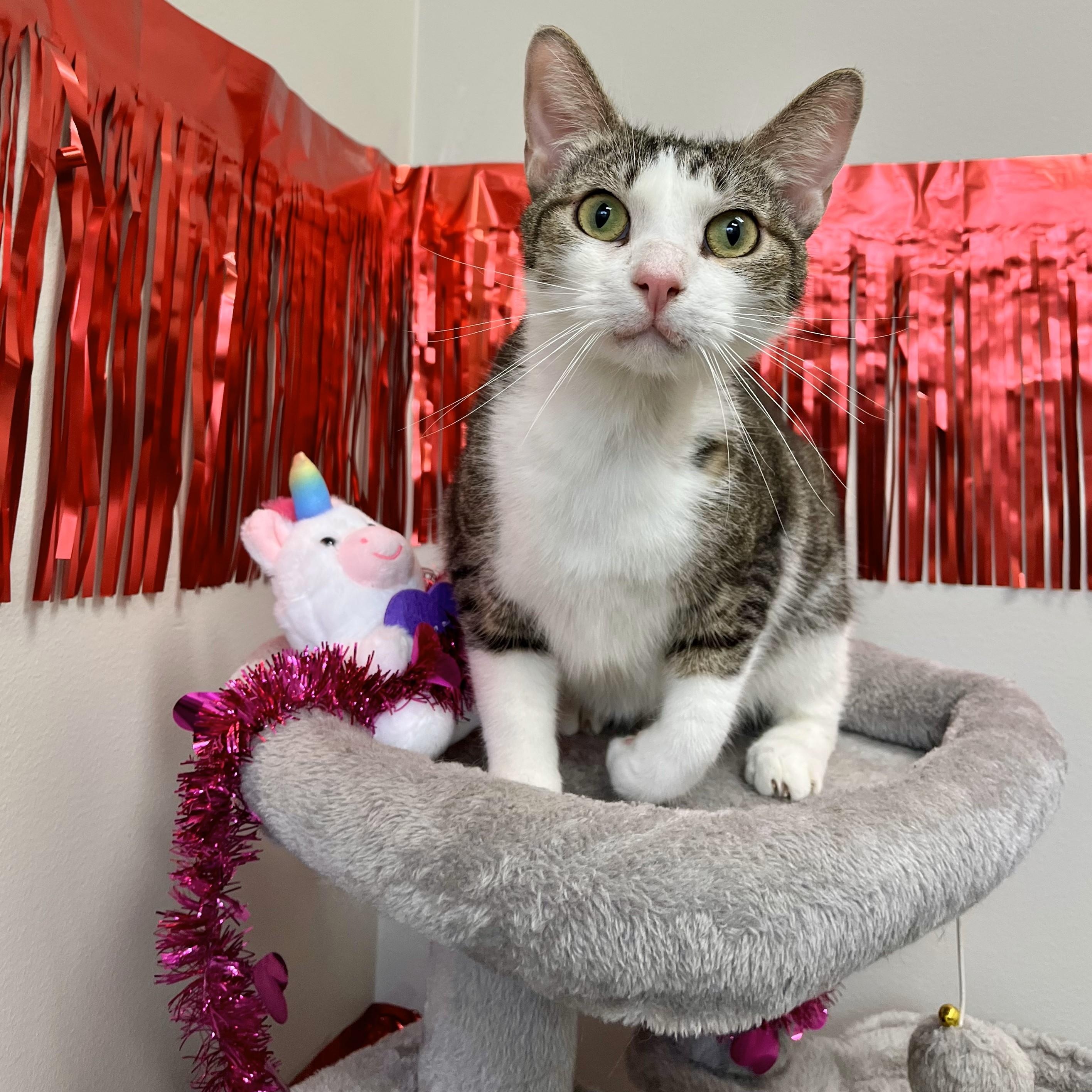 Siptah — thumbnail 2