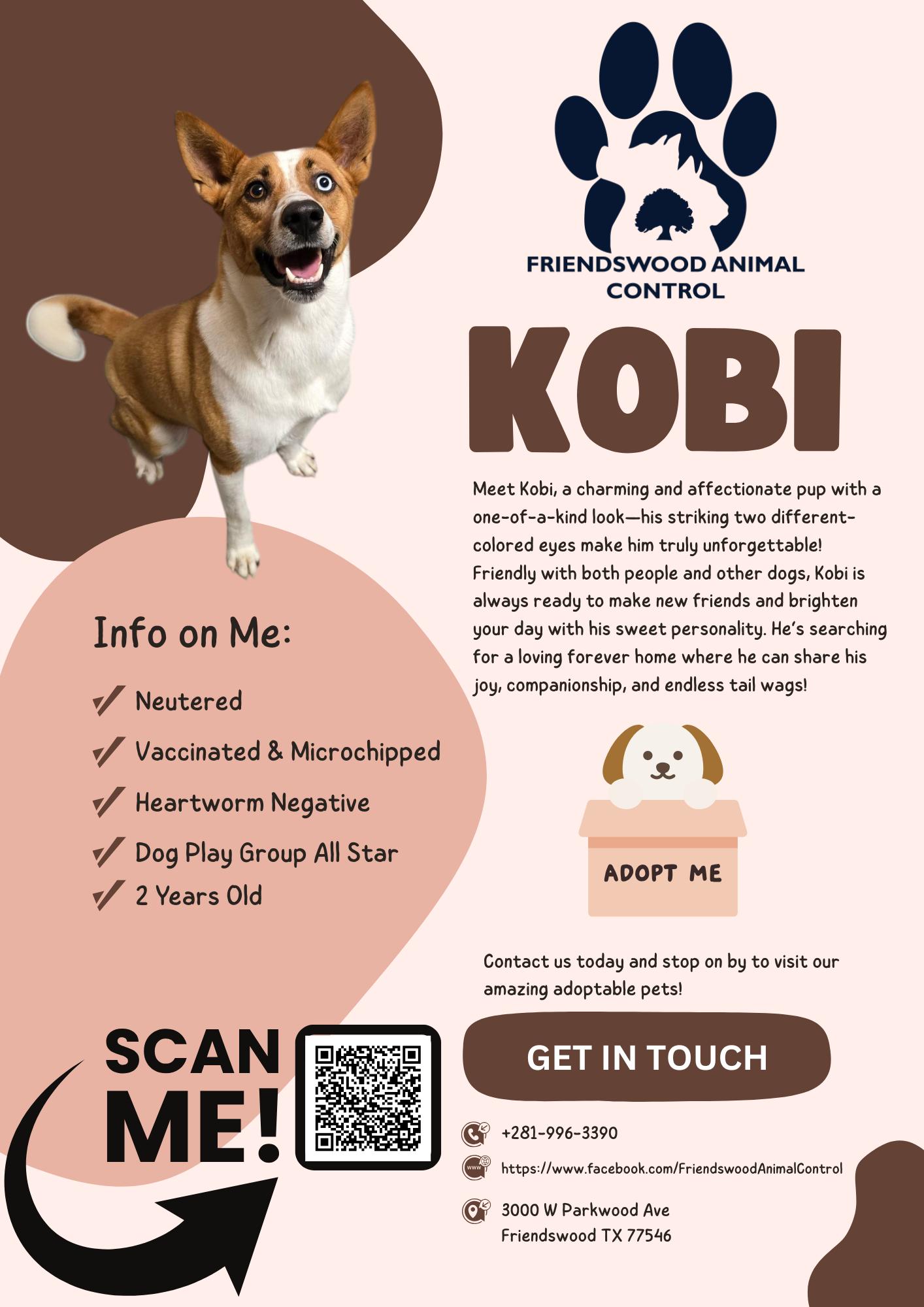 Kobi 3