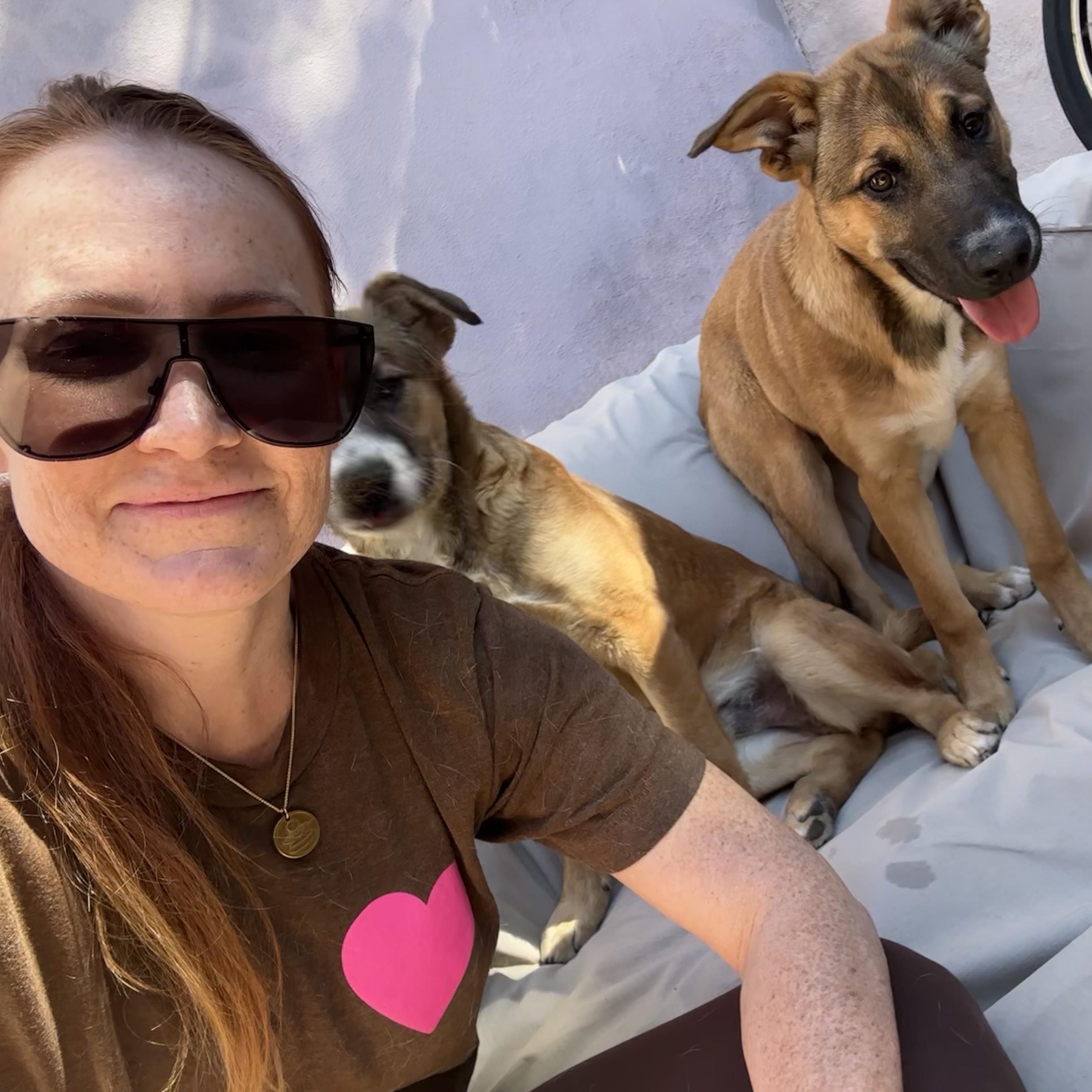 Enlarge NALA!, a Adoptable mixed breed in San Deigo, CA image 4/5