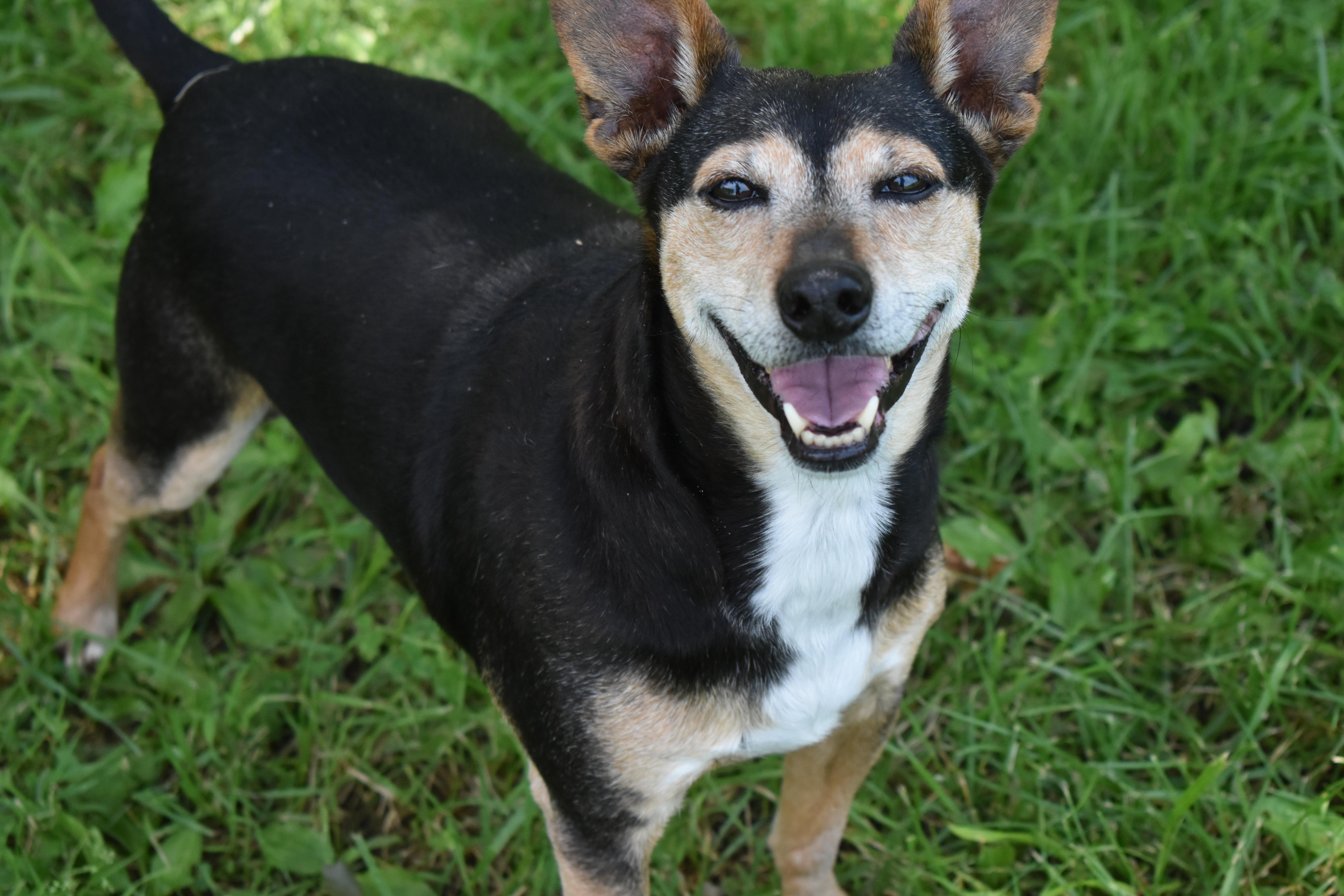 Gilly — thumbnail 2