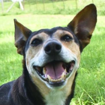 Gilly — thumbnail 4