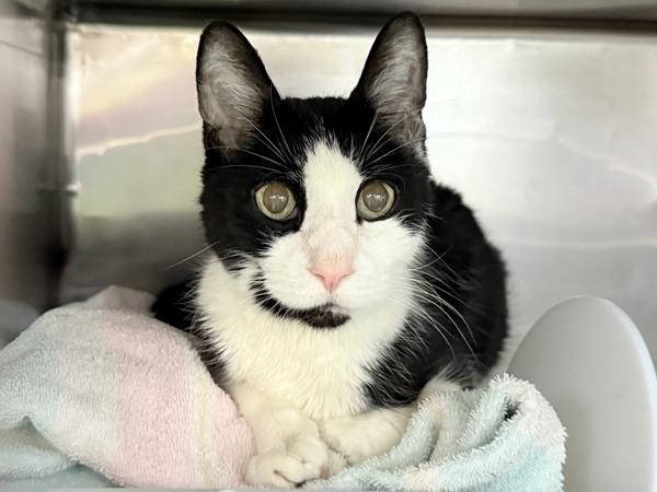 Tammy — thumbnail 2