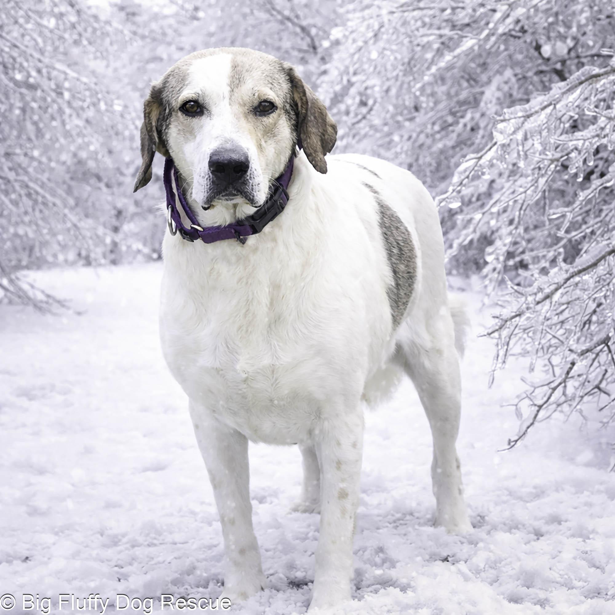 Marilyn — thumbnail 3