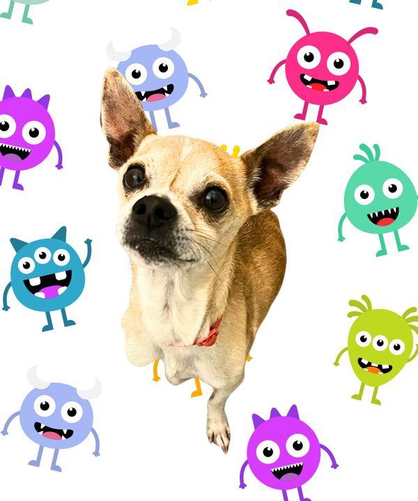 Enlarge Mr. Bean, a Adoptable mixed breed in Salem, OR image 1/1