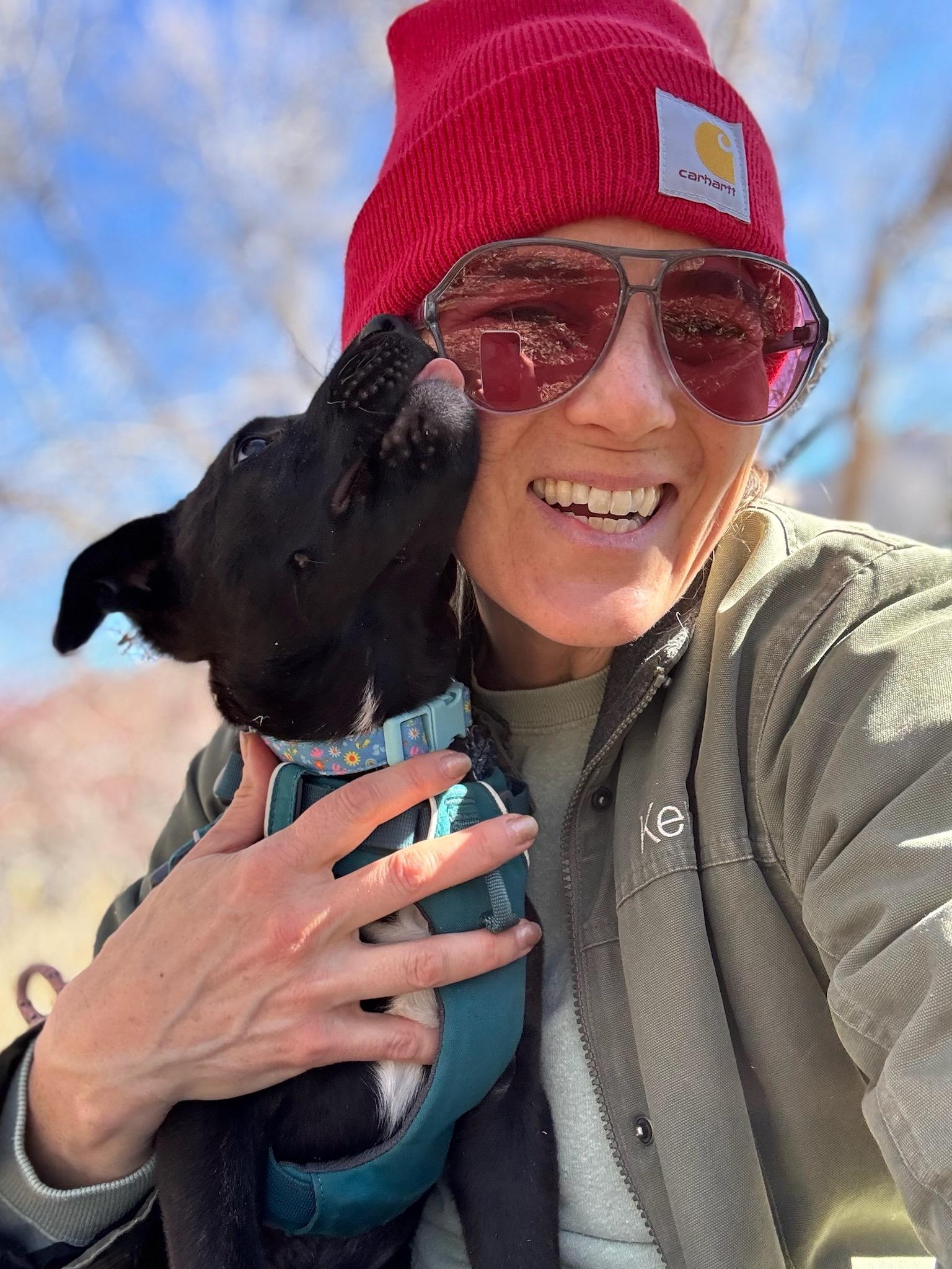 Enlarge Archie, a ADOPTABLE mixed breed in Durango, CO image 6/6