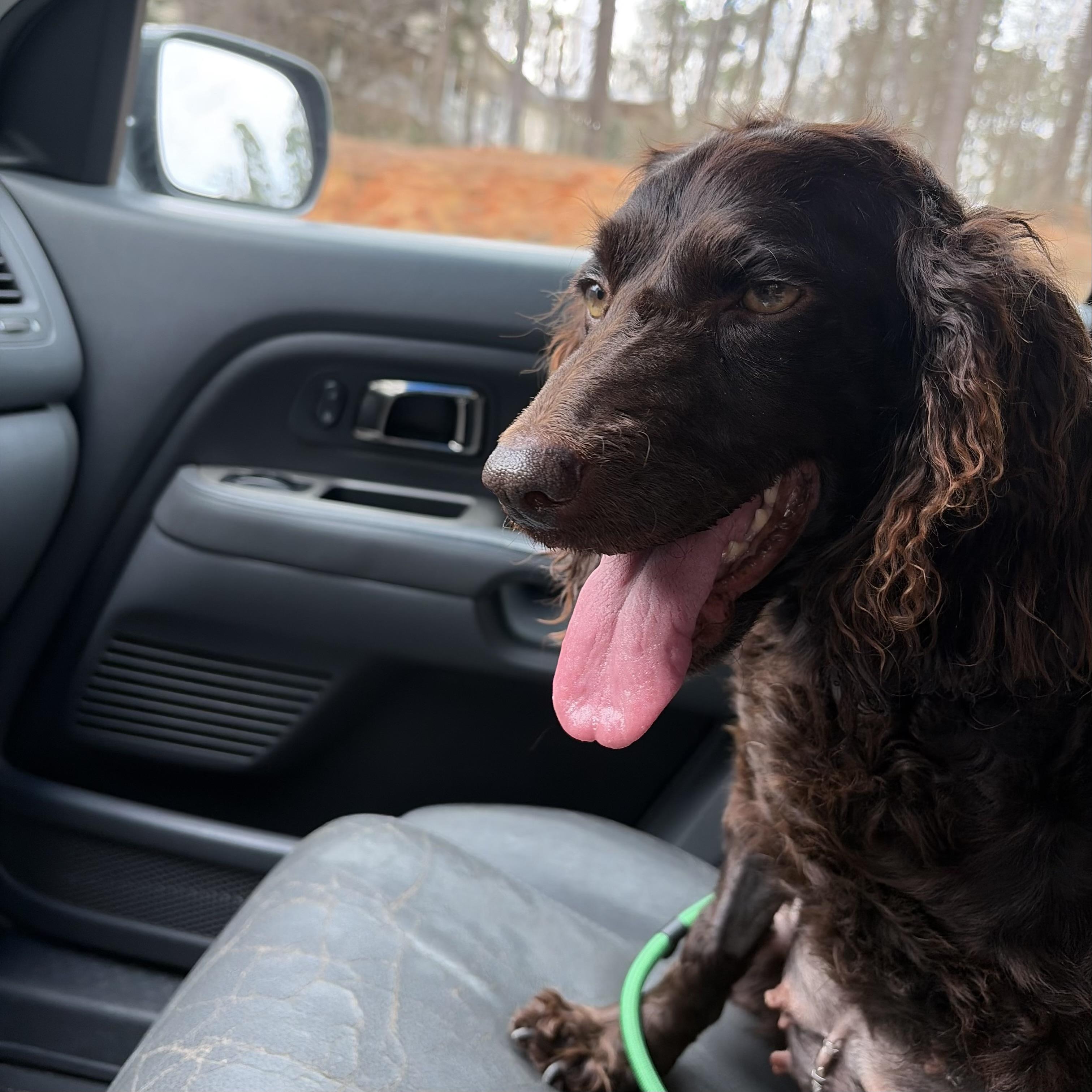 Emma — thumbnail 4