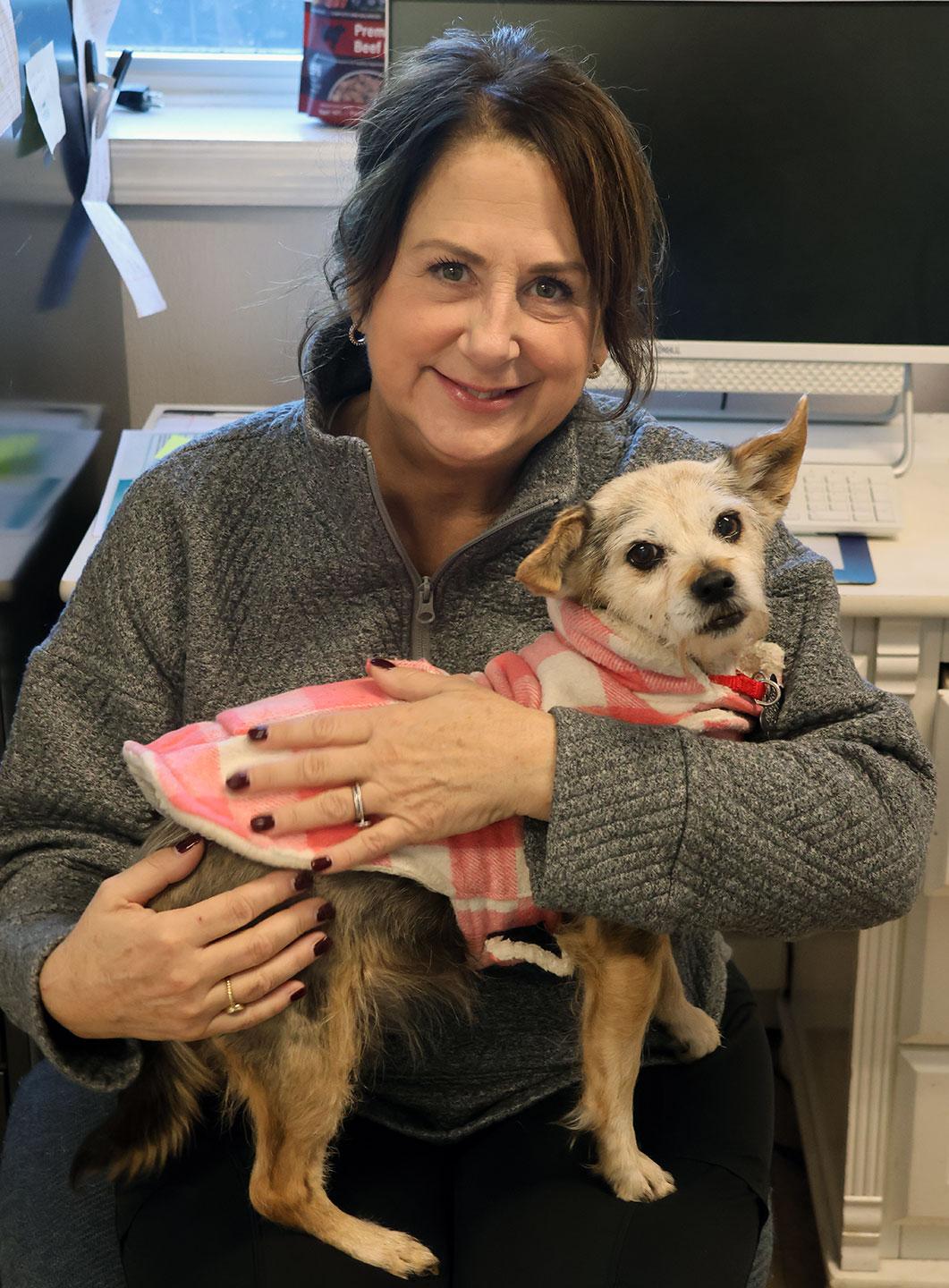 Enlarge Princess, an adoptable mixed breed in Harrison, NY image 6/6