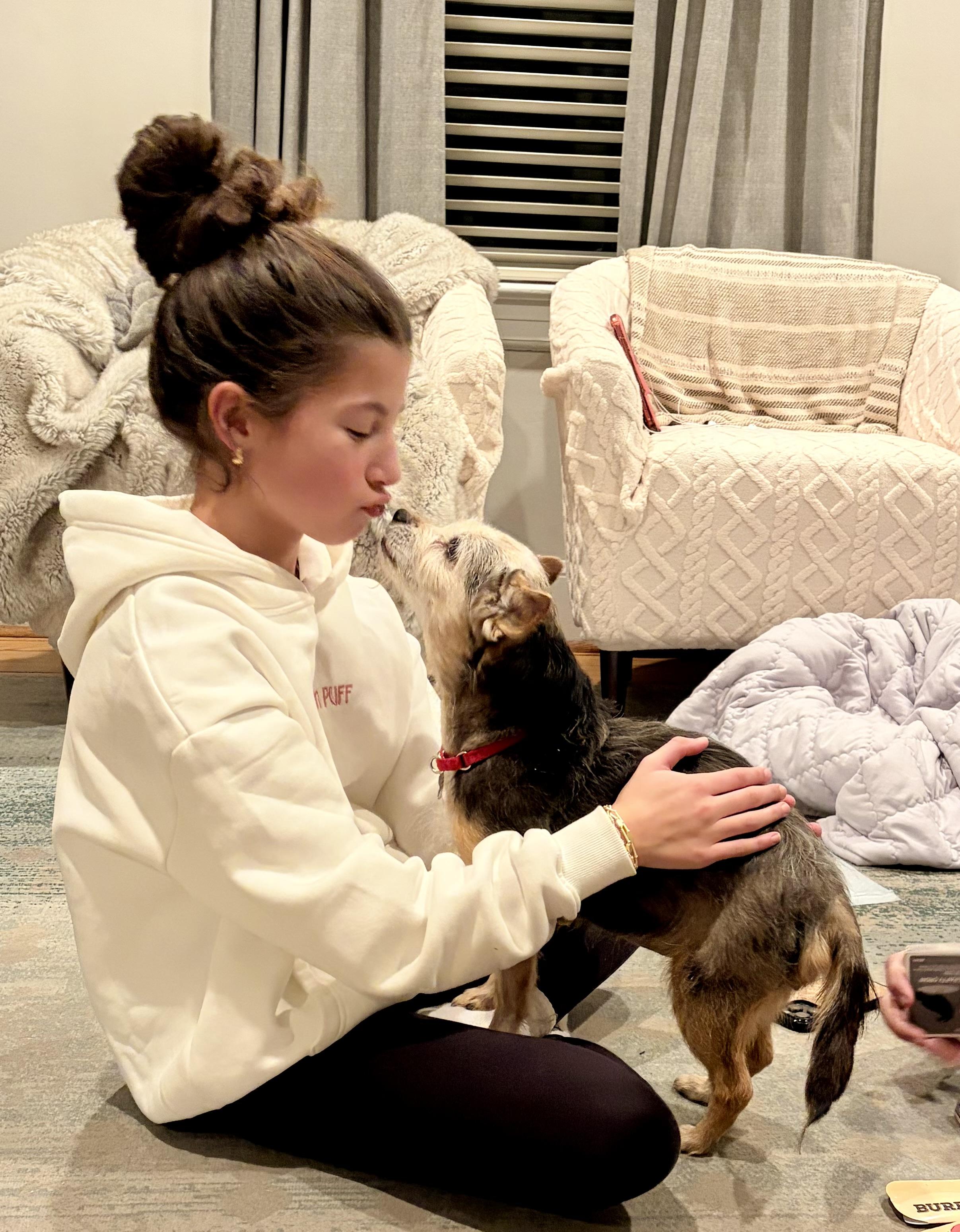 Enlarge Princess, an adoptable mixed breed in Harrison, NY image 2/6