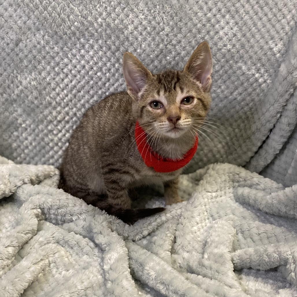 Diego — thumbnail 2