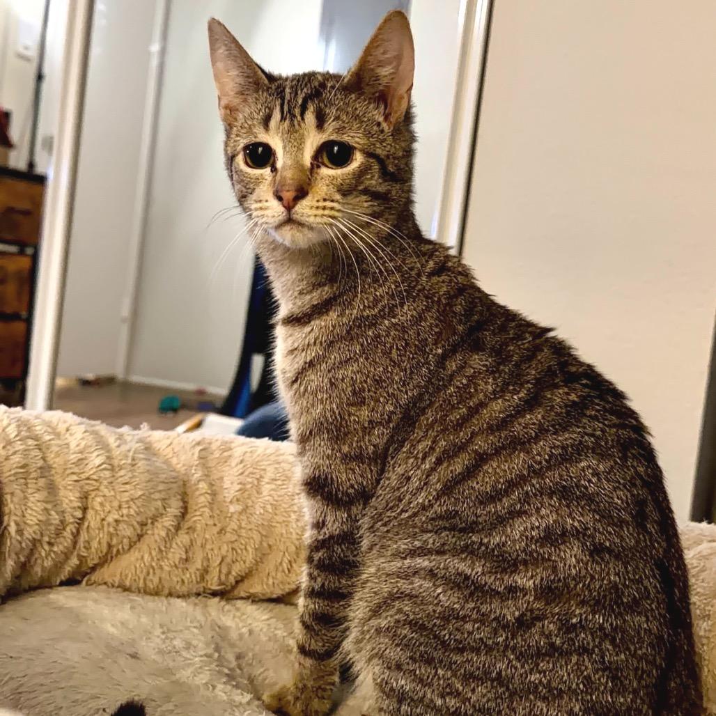 Diego — thumbnail 5