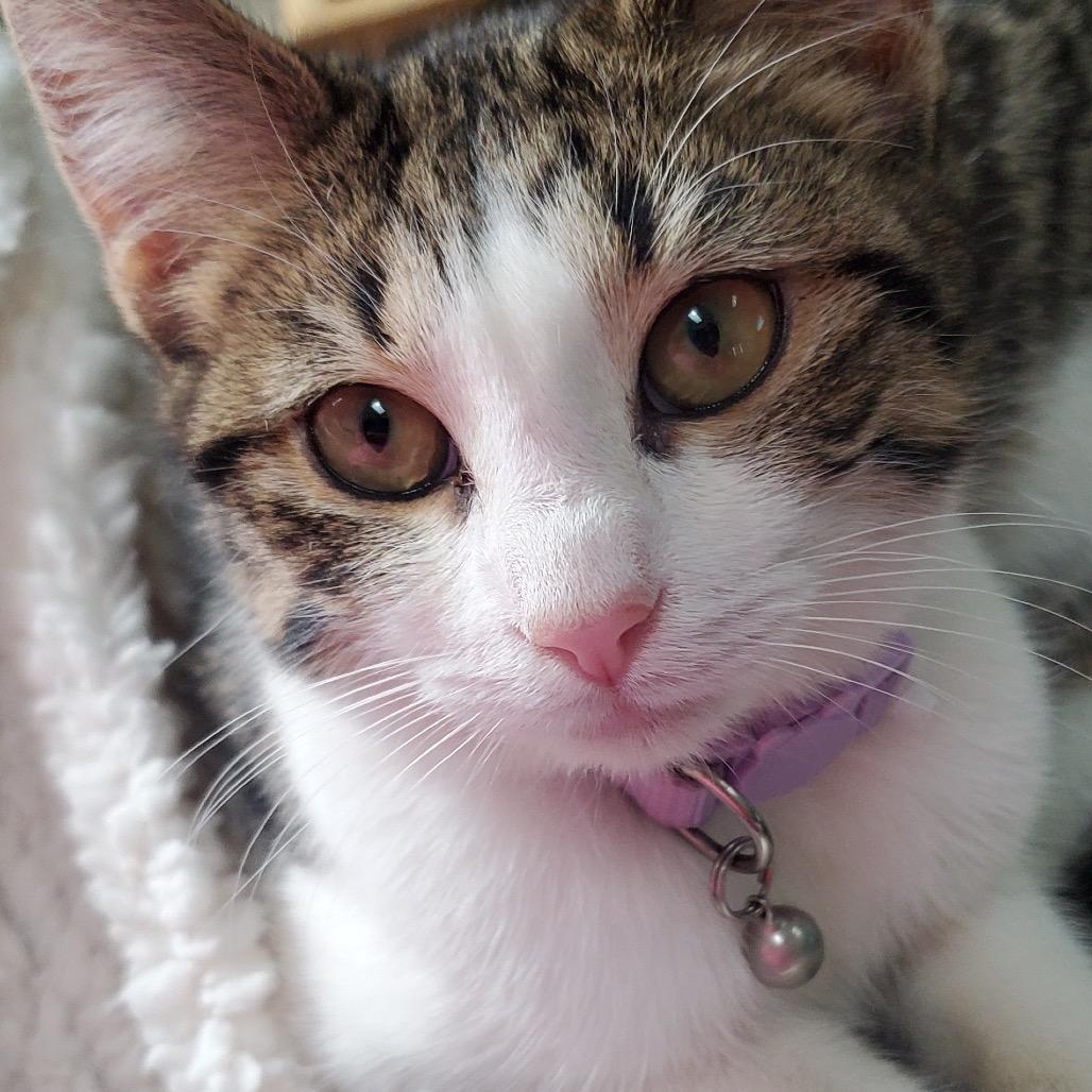 Ellie Bellie thumbnail 2