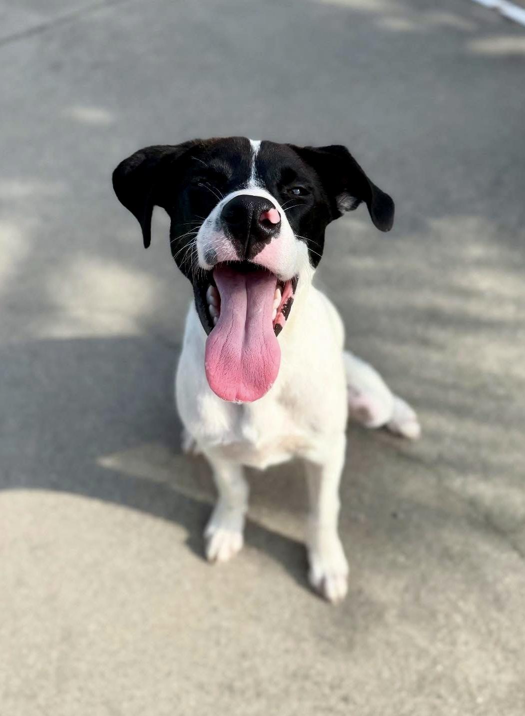 Campbell thumbnail 2