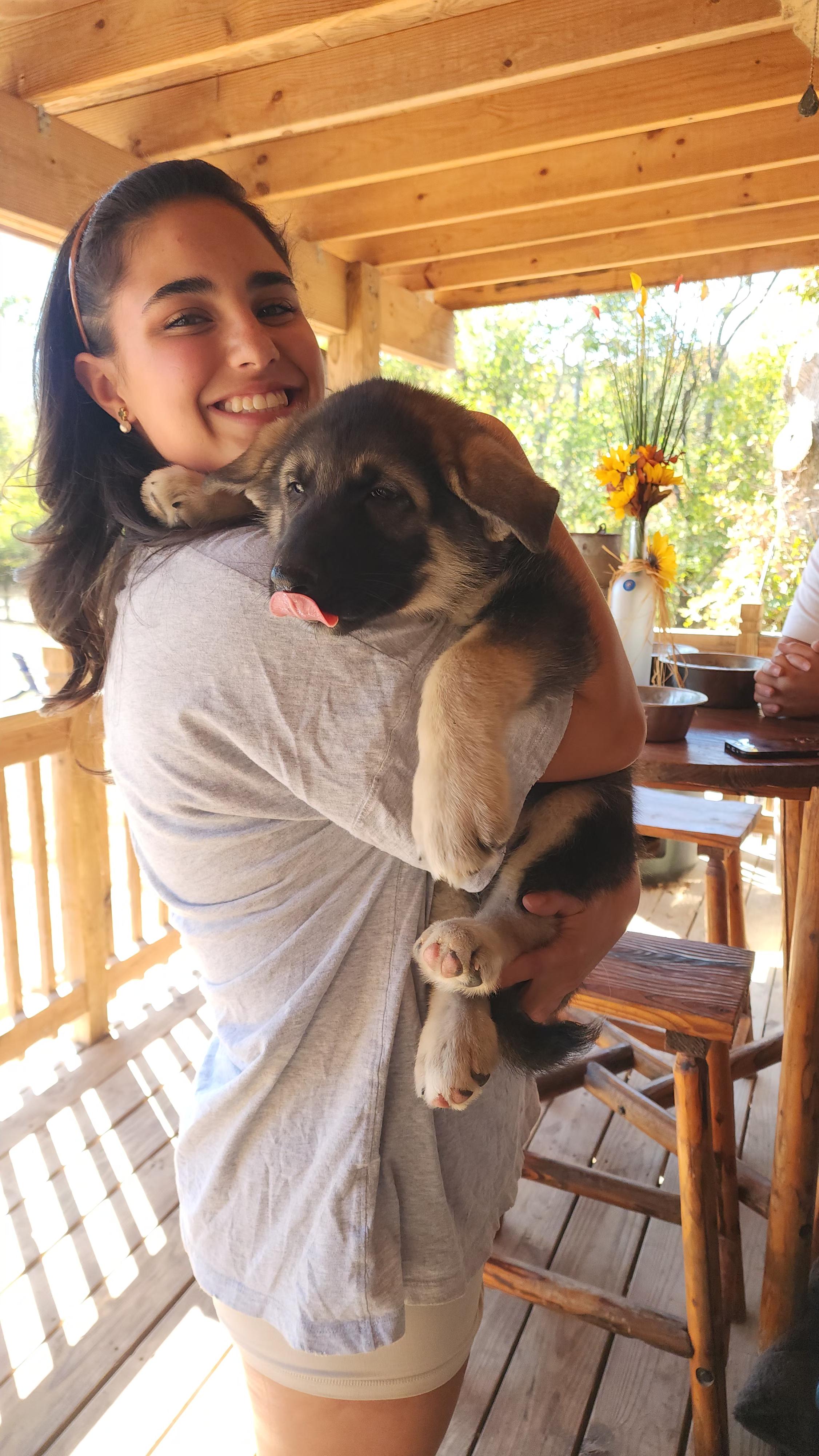 Enlarge Grizzly, a Adopted mixed breed in Dittmer, MO image 2/4