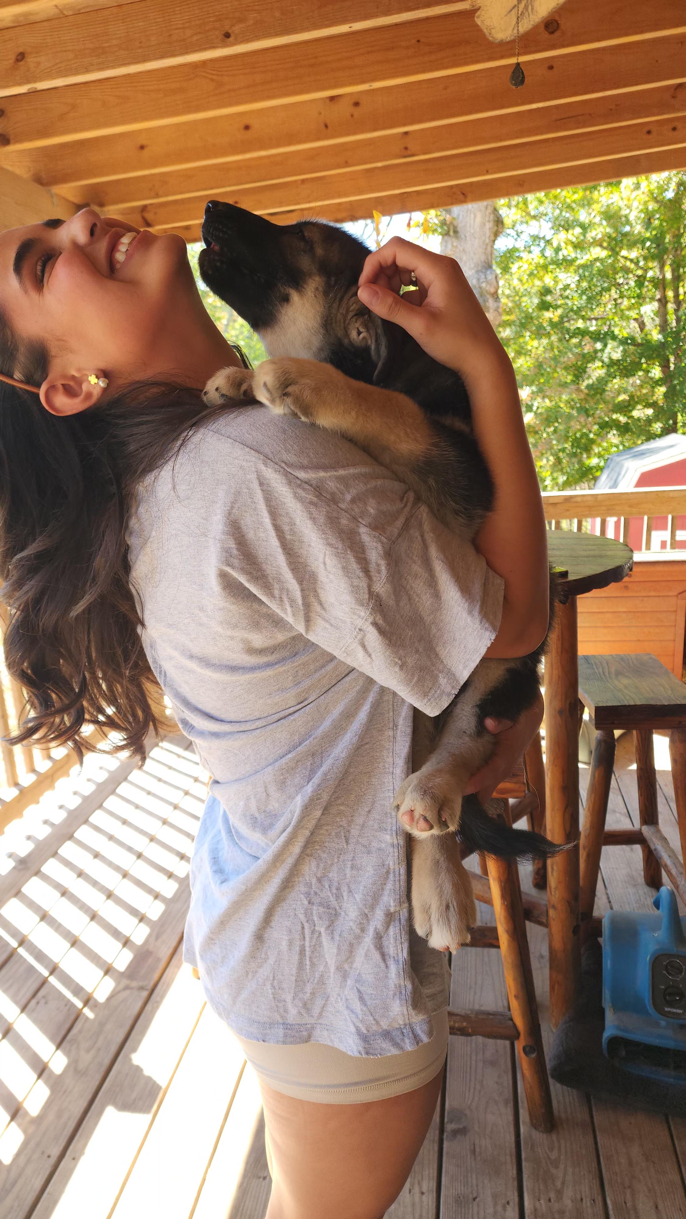Enlarge Grizzly, a Adopted mixed breed in Dittmer, MO image 4/4