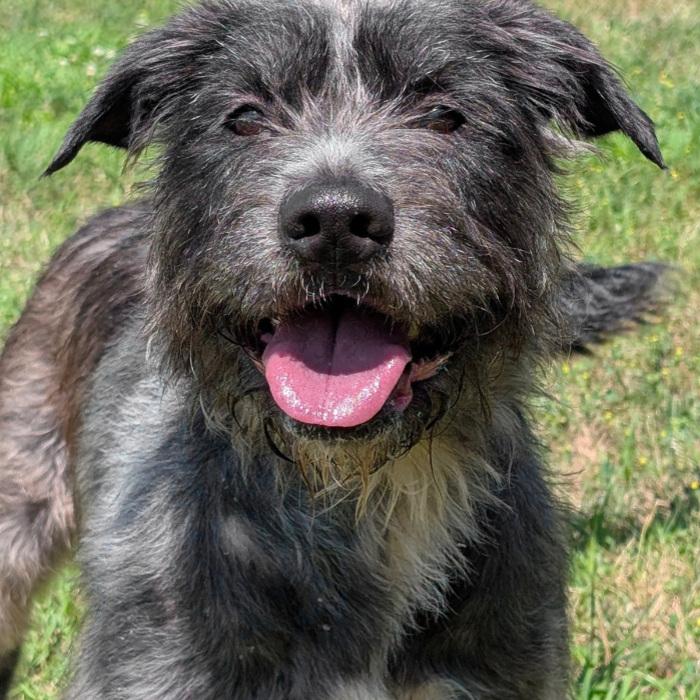 Xena Graduate thumbnail 4