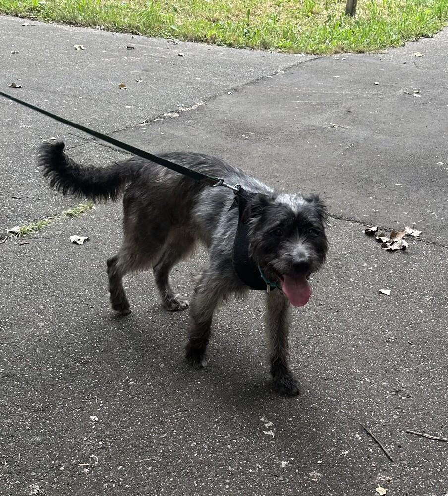 Xena Graduate thumbnail 5