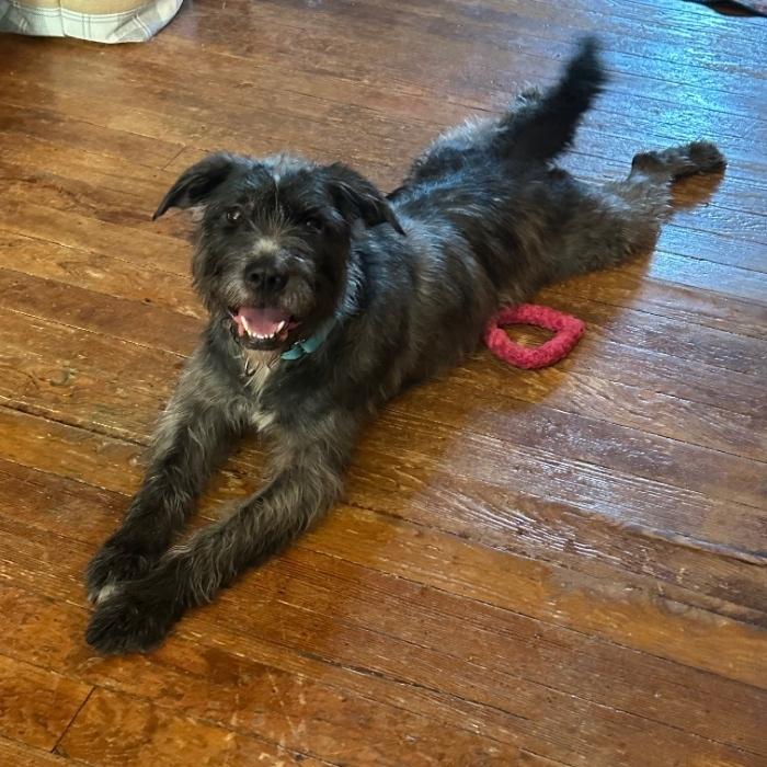 Xena Graduate thumbnail 6