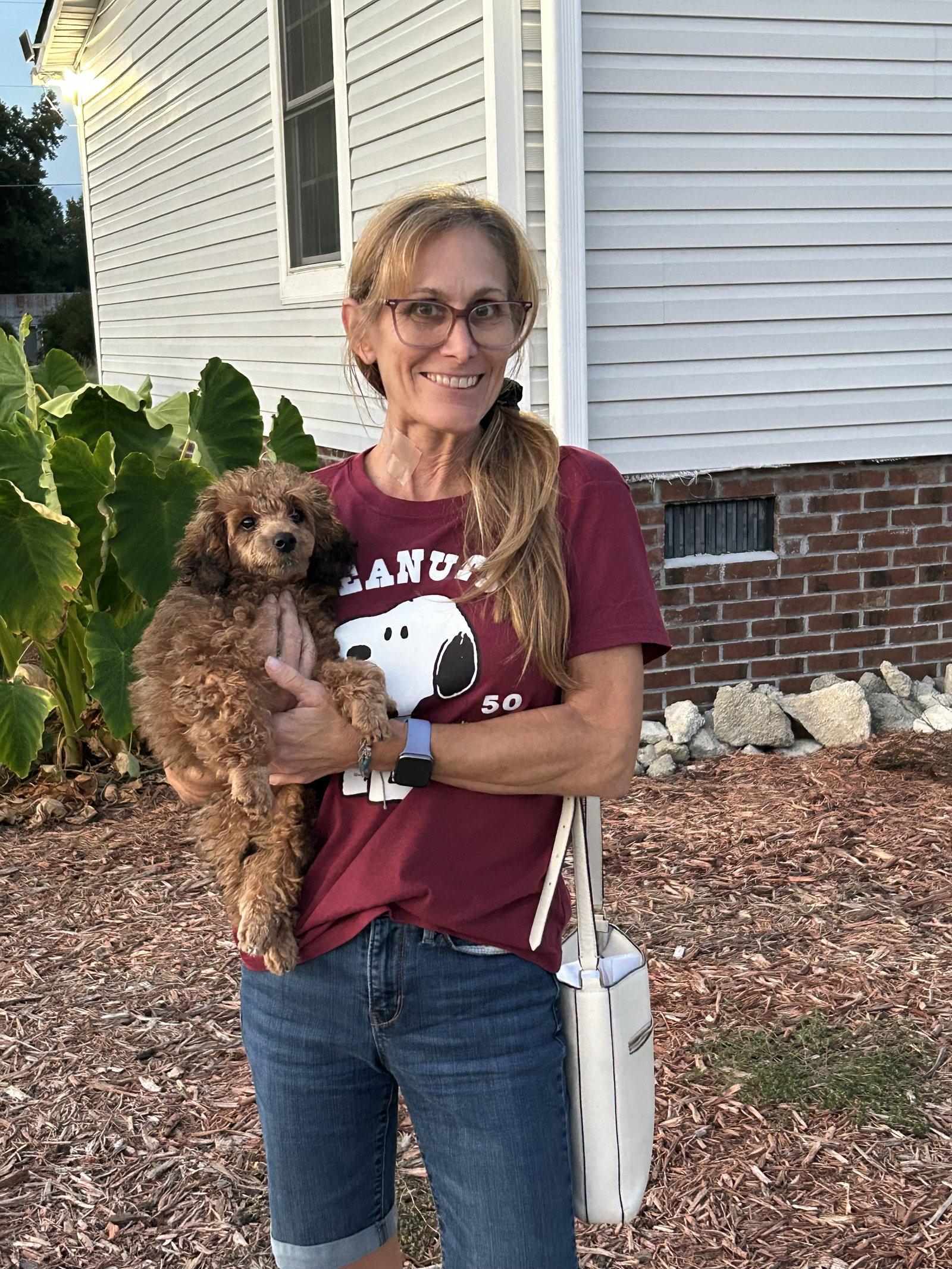 Enlarge Nola - In Foster in Rocky Mount, NC, a Adopted Poodle in Pacolet, SC image 2/3