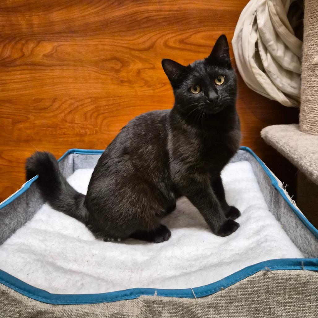 Bette — thumbnail 2