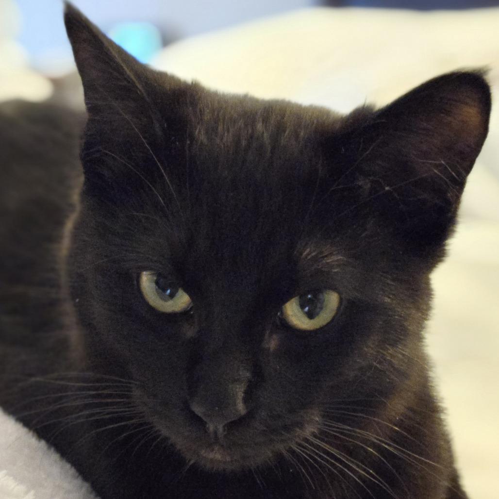 Bette — thumbnail 3