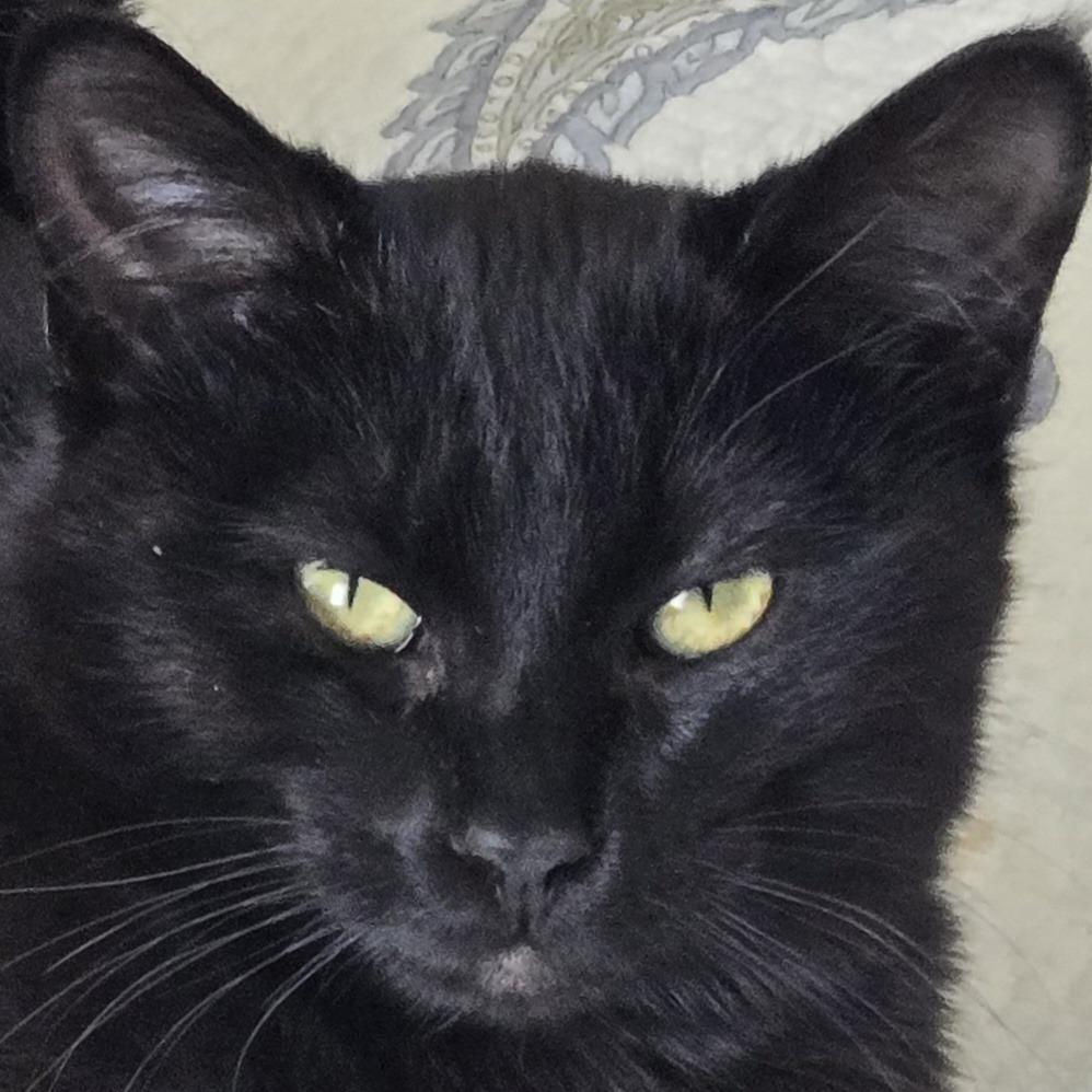 Bette — thumbnail 4