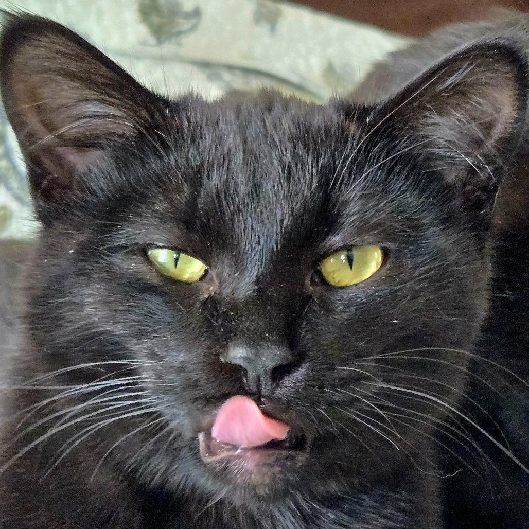 Bette — thumbnail 5