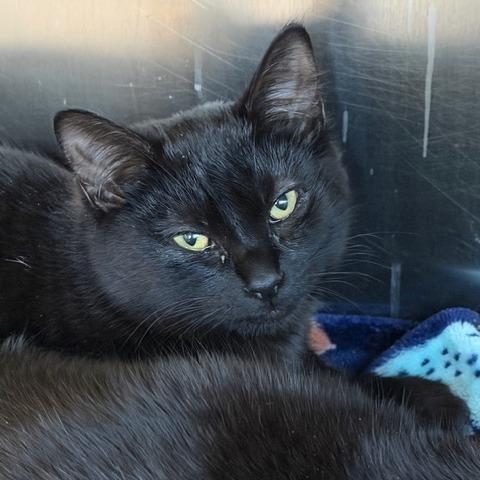 Bette — thumbnail 6