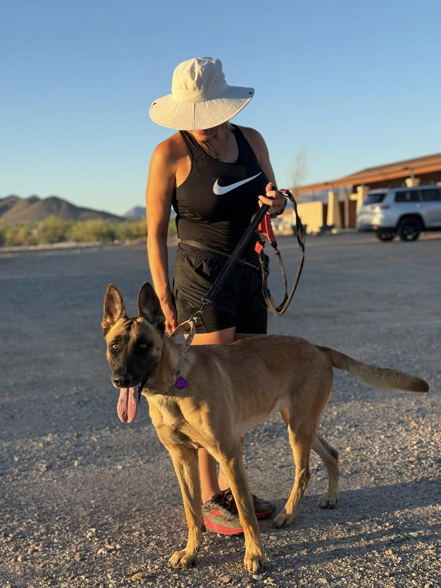 Enlarge Marilyn, an adopted mixed breed in Glendale, AZ image 2/5