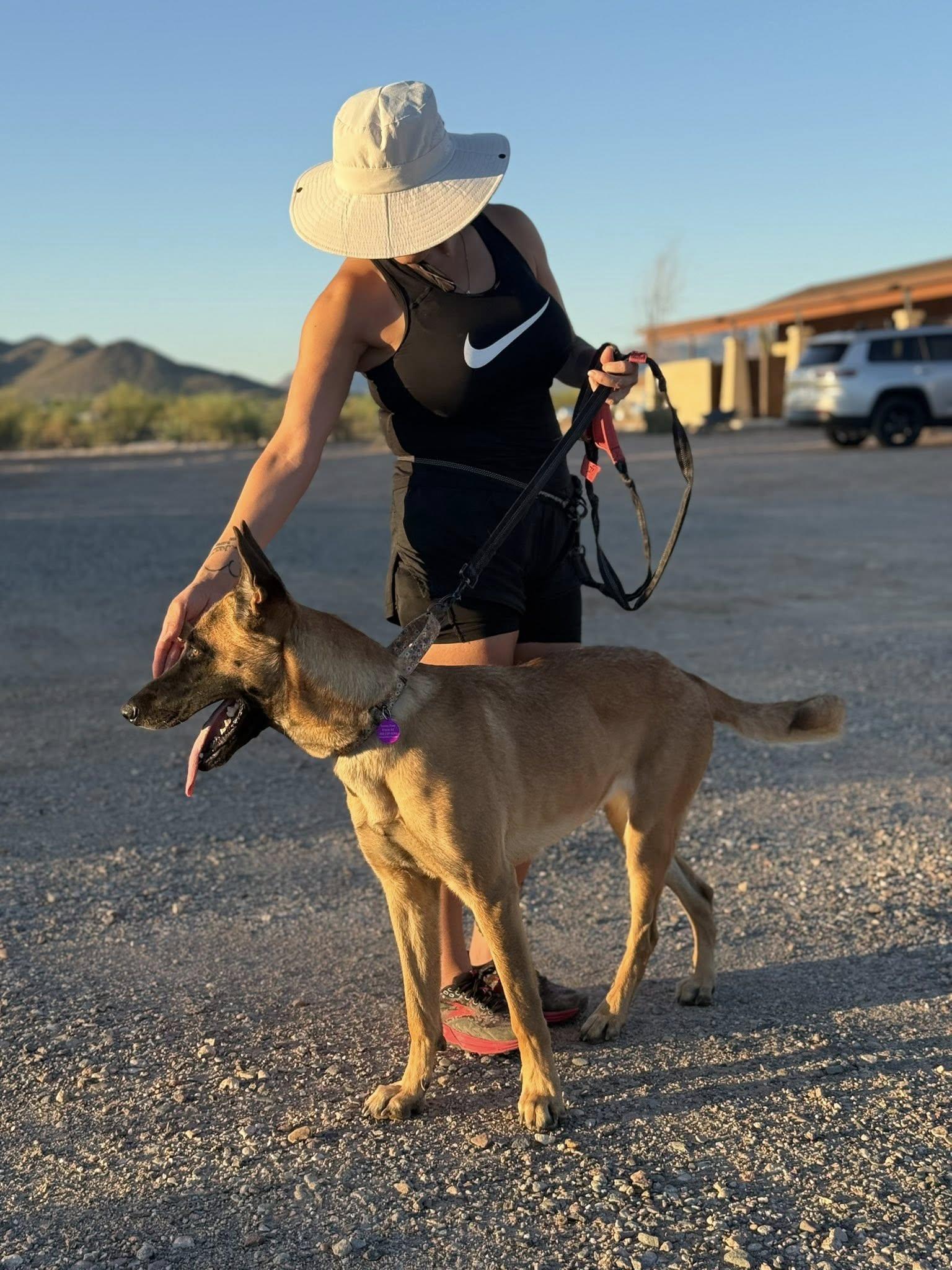 Enlarge Marilyn, an adopted mixed breed in Glendale, AZ image 5/5