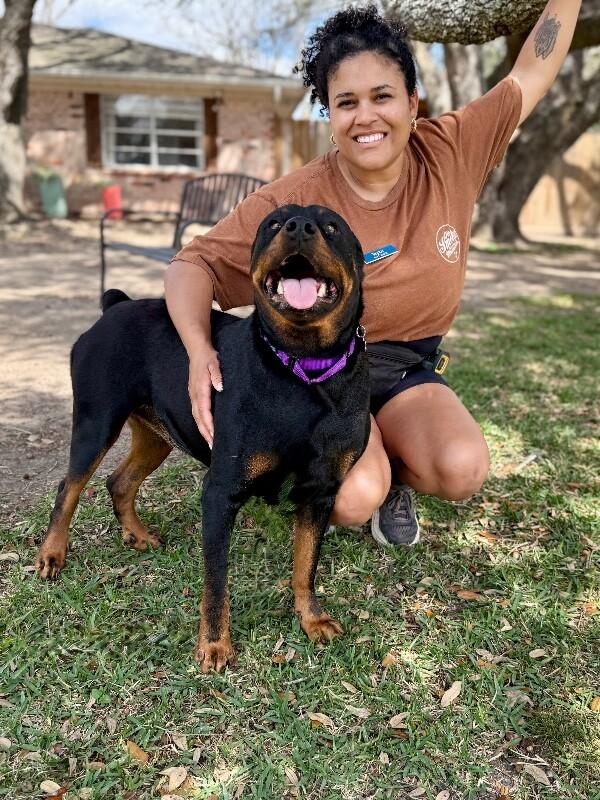 Ohlee Fetching Rottie