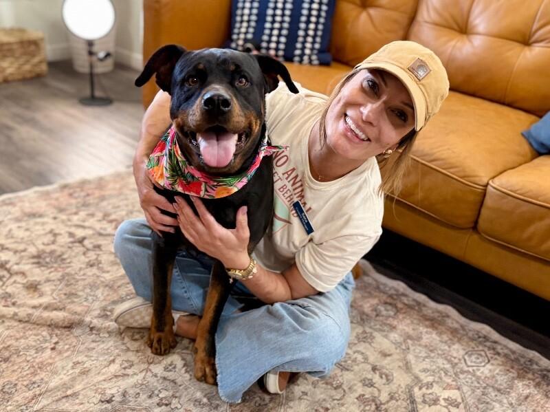 Ohlee Fetching Rottie — thumbnail 3