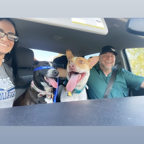 Enlarge Chance “Texas Red Heeler”, a Adoptable mixed breed in Inez, TX image 2/6