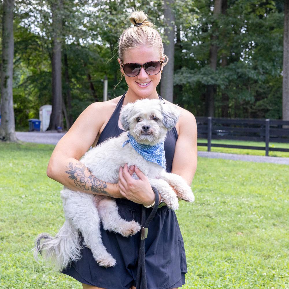 Rowdy (Male) Avail 8/15, an adopted Shih Tzu in West Grove, PA image 4/6