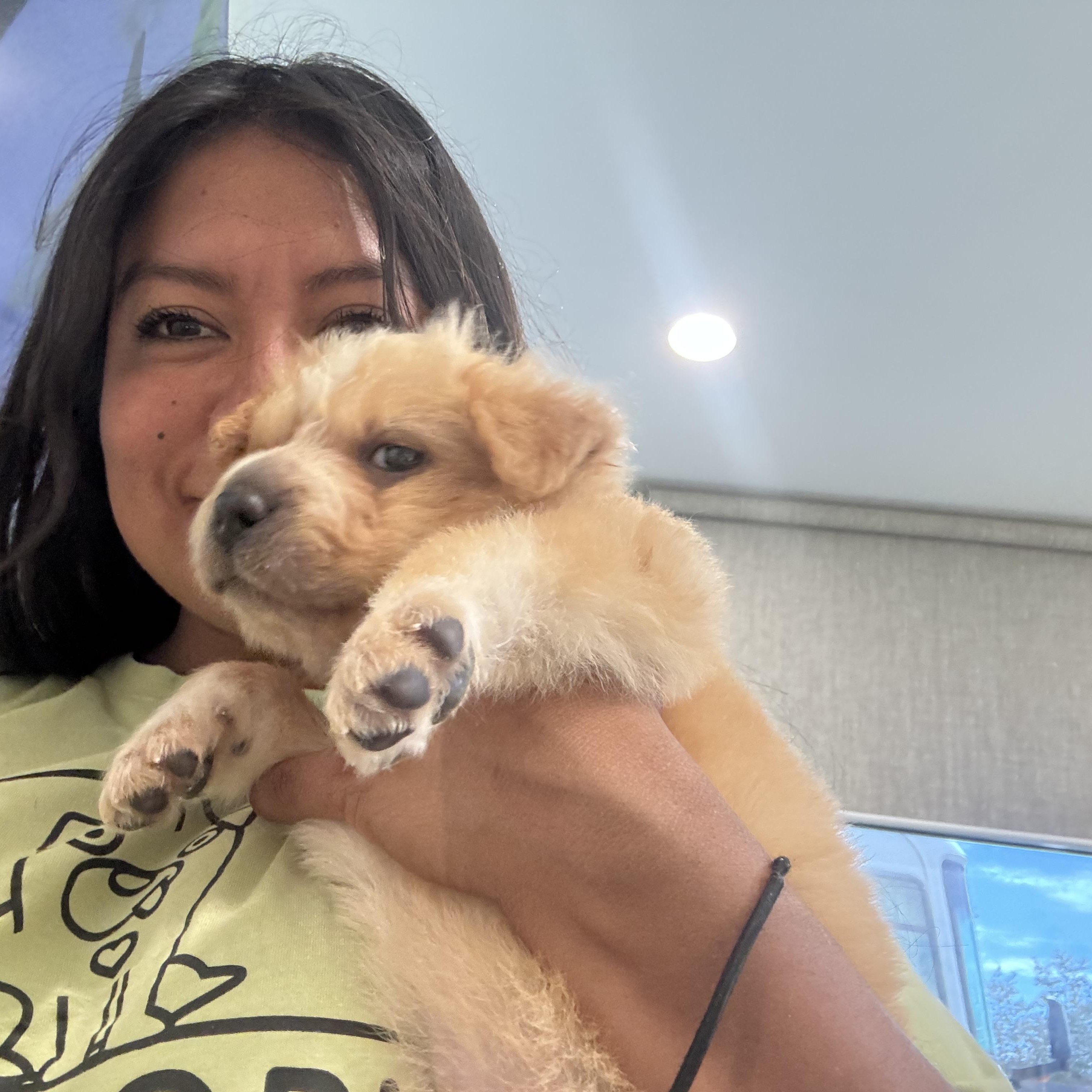 Enlarge Willow, a Adoptable mixed breed in Rancho Santa Margarita, CA image 4/4