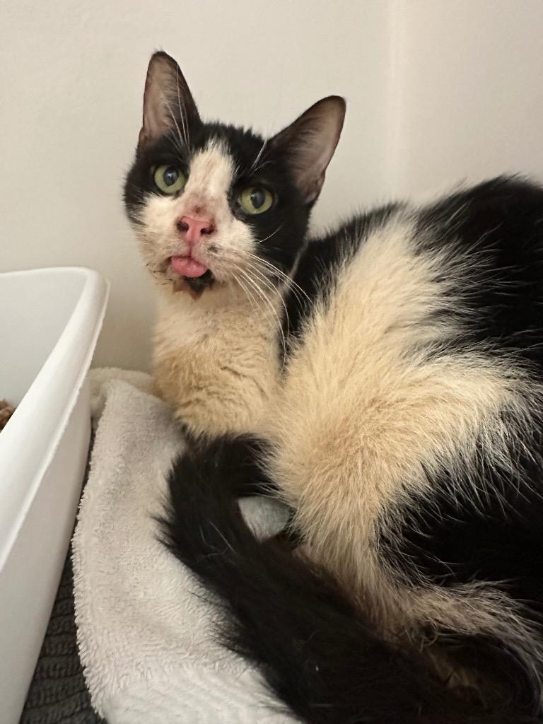 Jeans — thumbnail 3