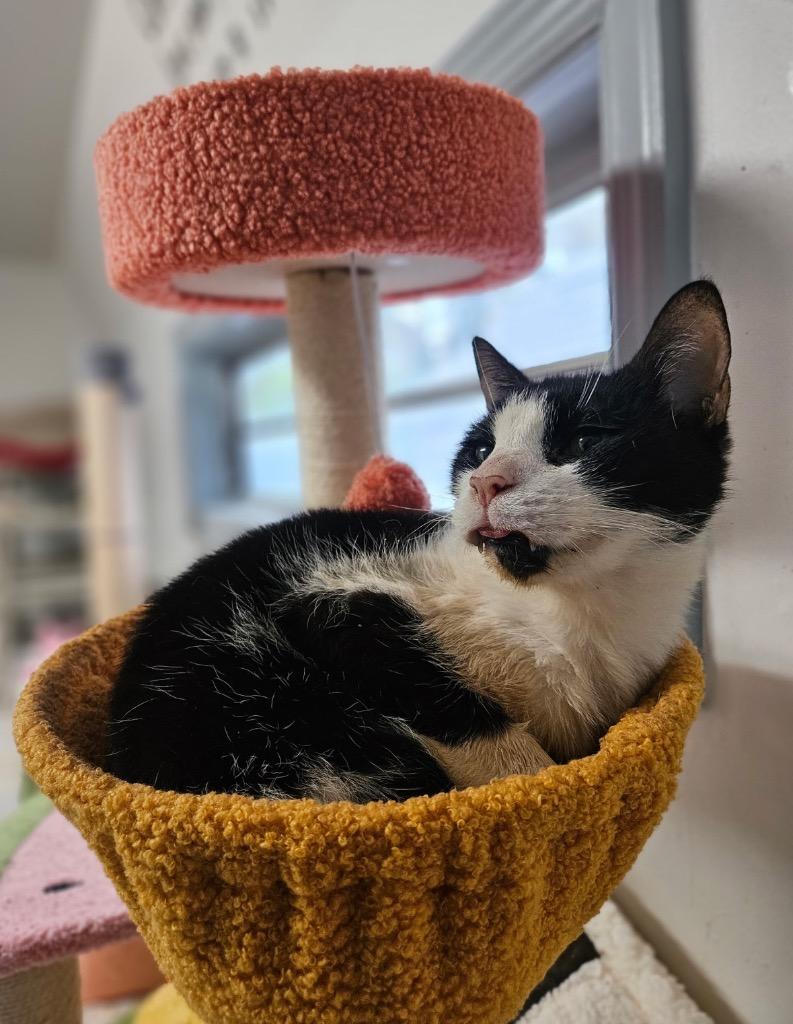 Jeans — thumbnail 4