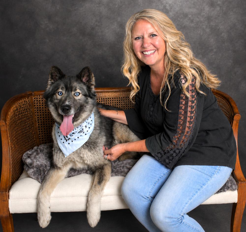 Enlarge Millie, a ADOPTABLE Husky in Cheboygan, MI image 3/6