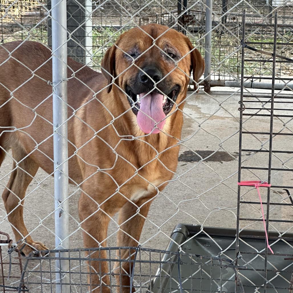 Southern Moonshine thumbnail 2