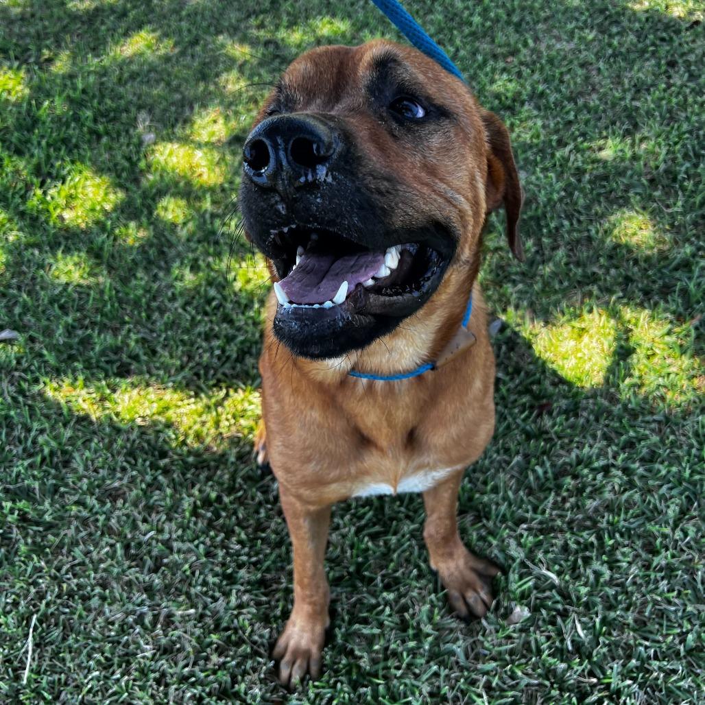 Southern Moonshine thumbnail 3