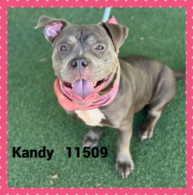 KANDY (also see ISABEL)
