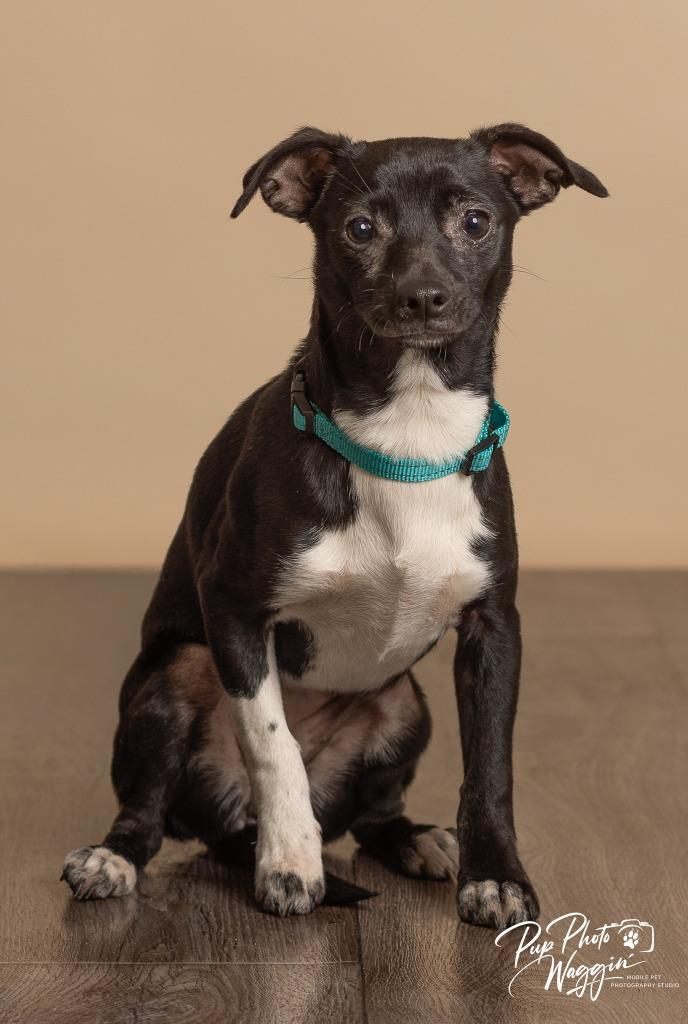 Coco — thumbnail 2