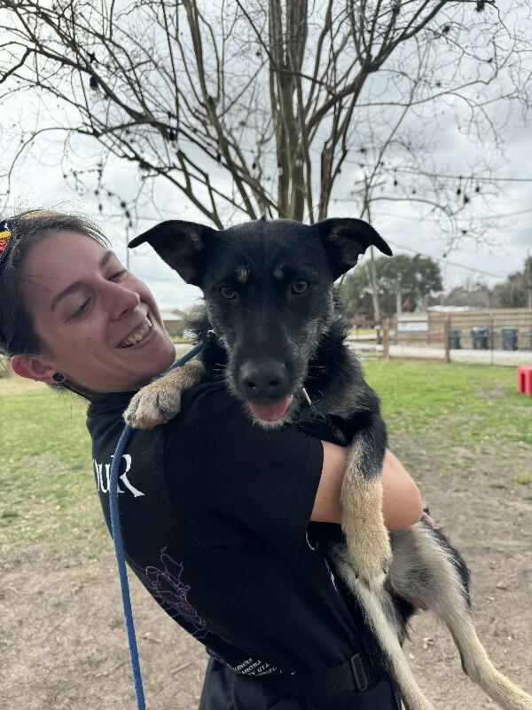 Lilly Cutie Patootie — thumbnail 4