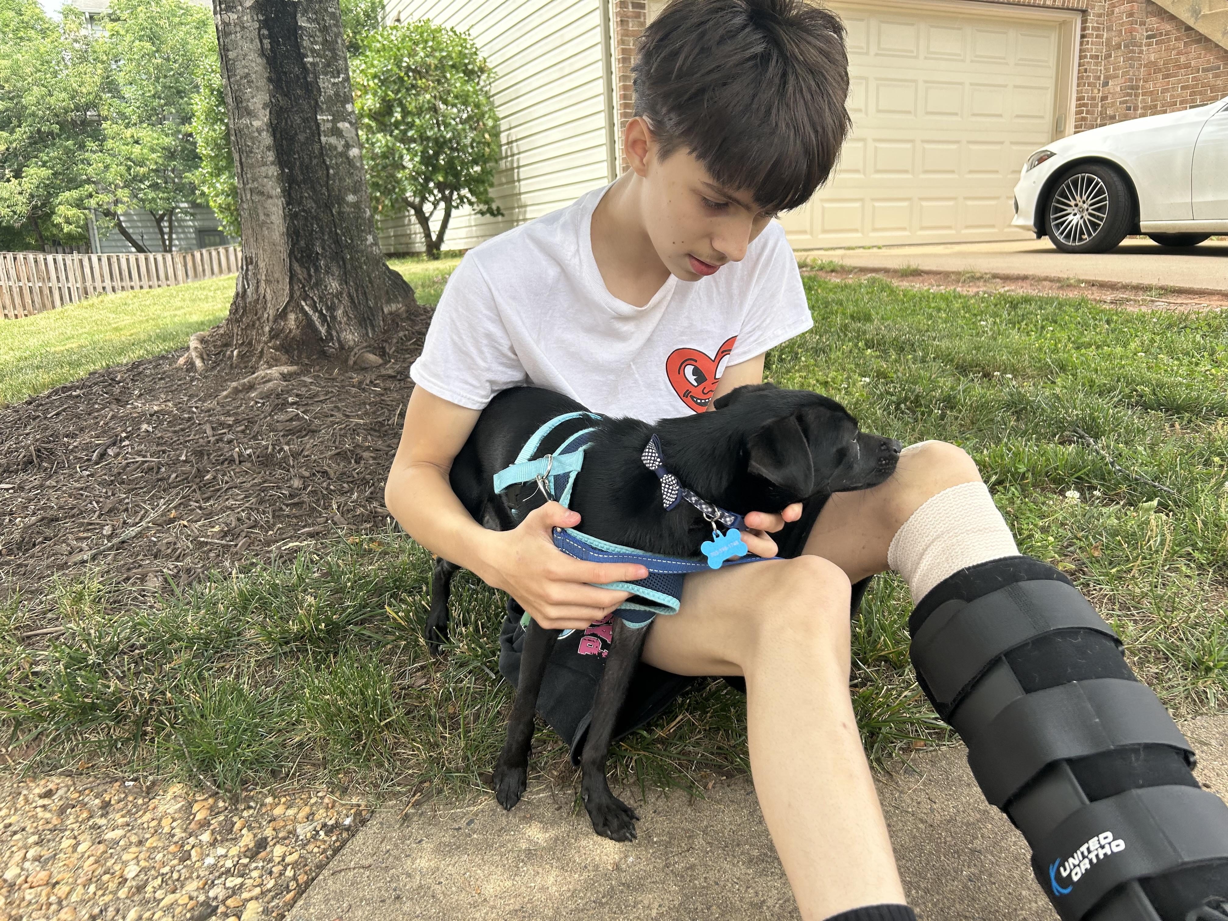 Ralph, an adopted mixed breed in Leesburg, VA image 4/5