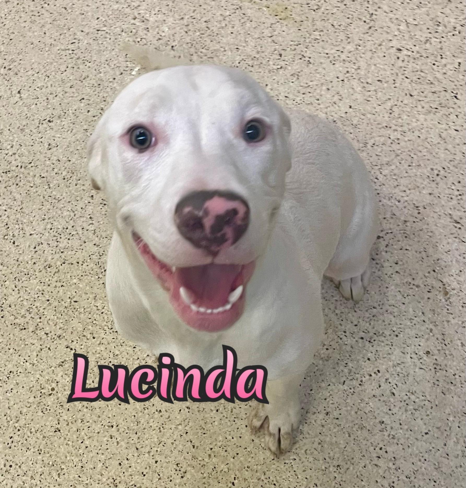 Lucinda