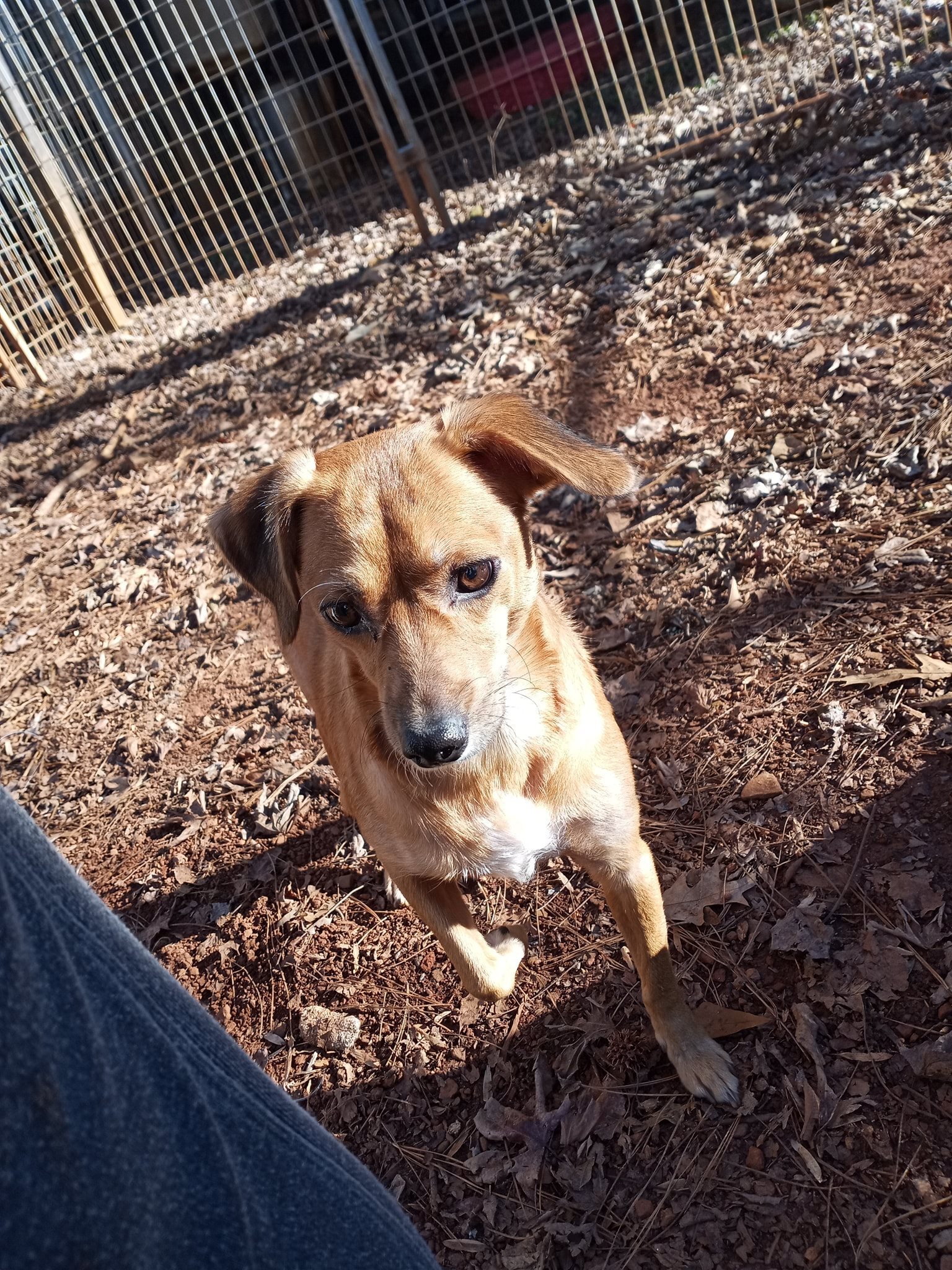 Lucy photo 2
