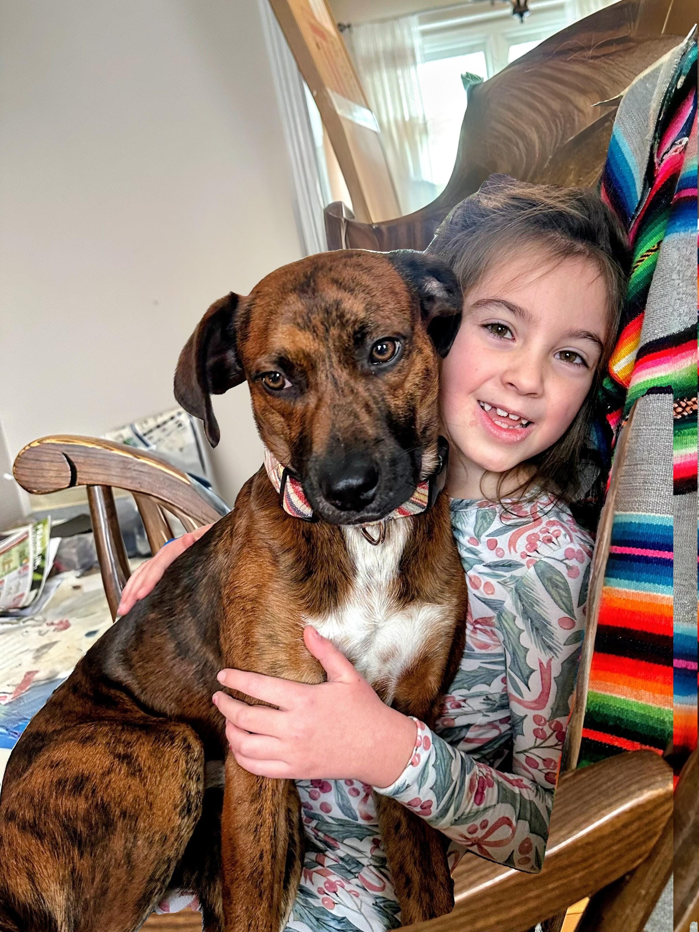 Enlarge Milo - In MA, a Adoptable mixed breed in Willington, CT image 2/6