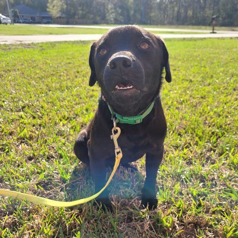 Claude aka "Buddy" photo 5