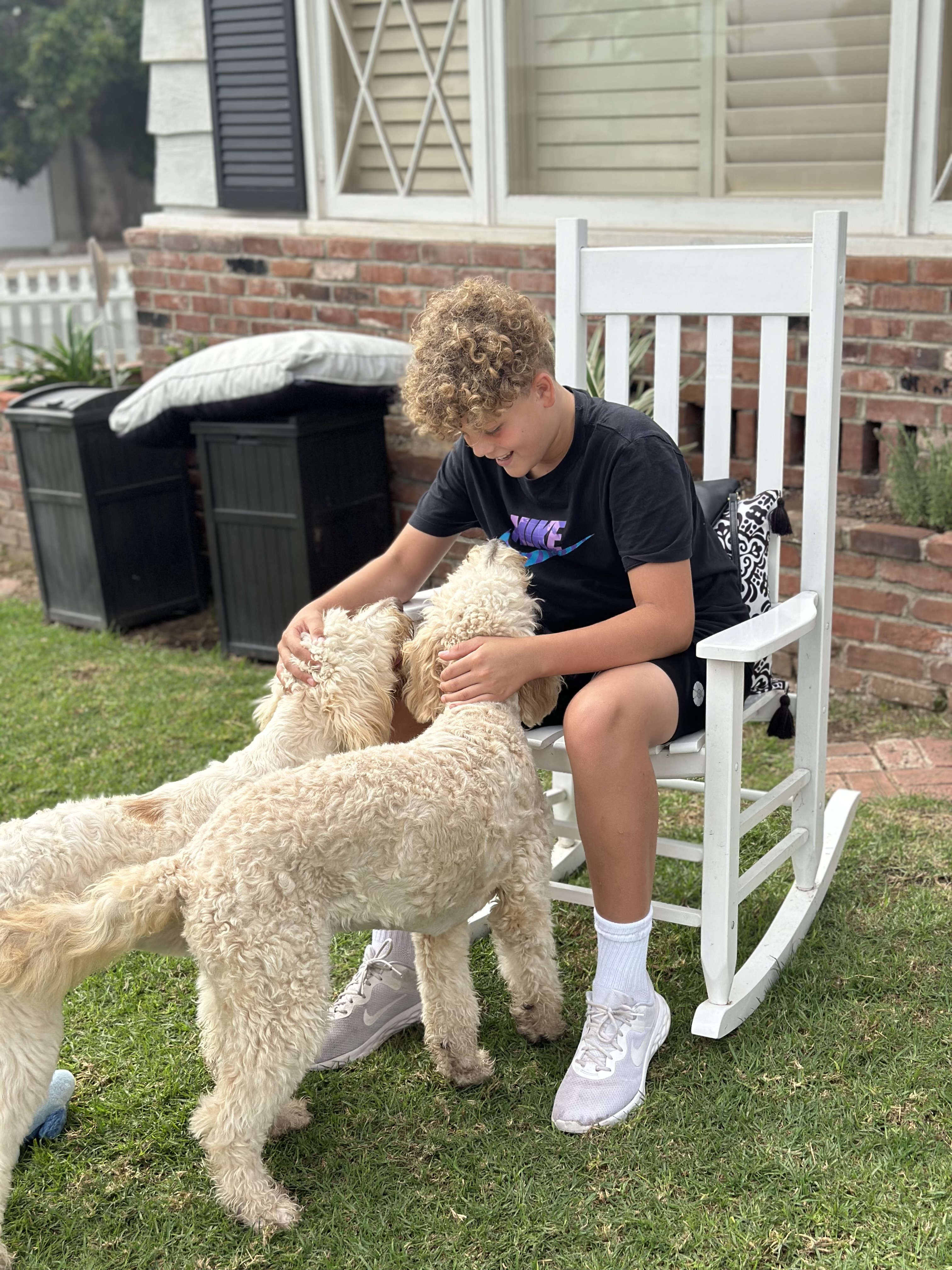 Swiftie and Kelsie (Bonded Pair), an adopted Goldendoodle in San Diego, CA image 5/6