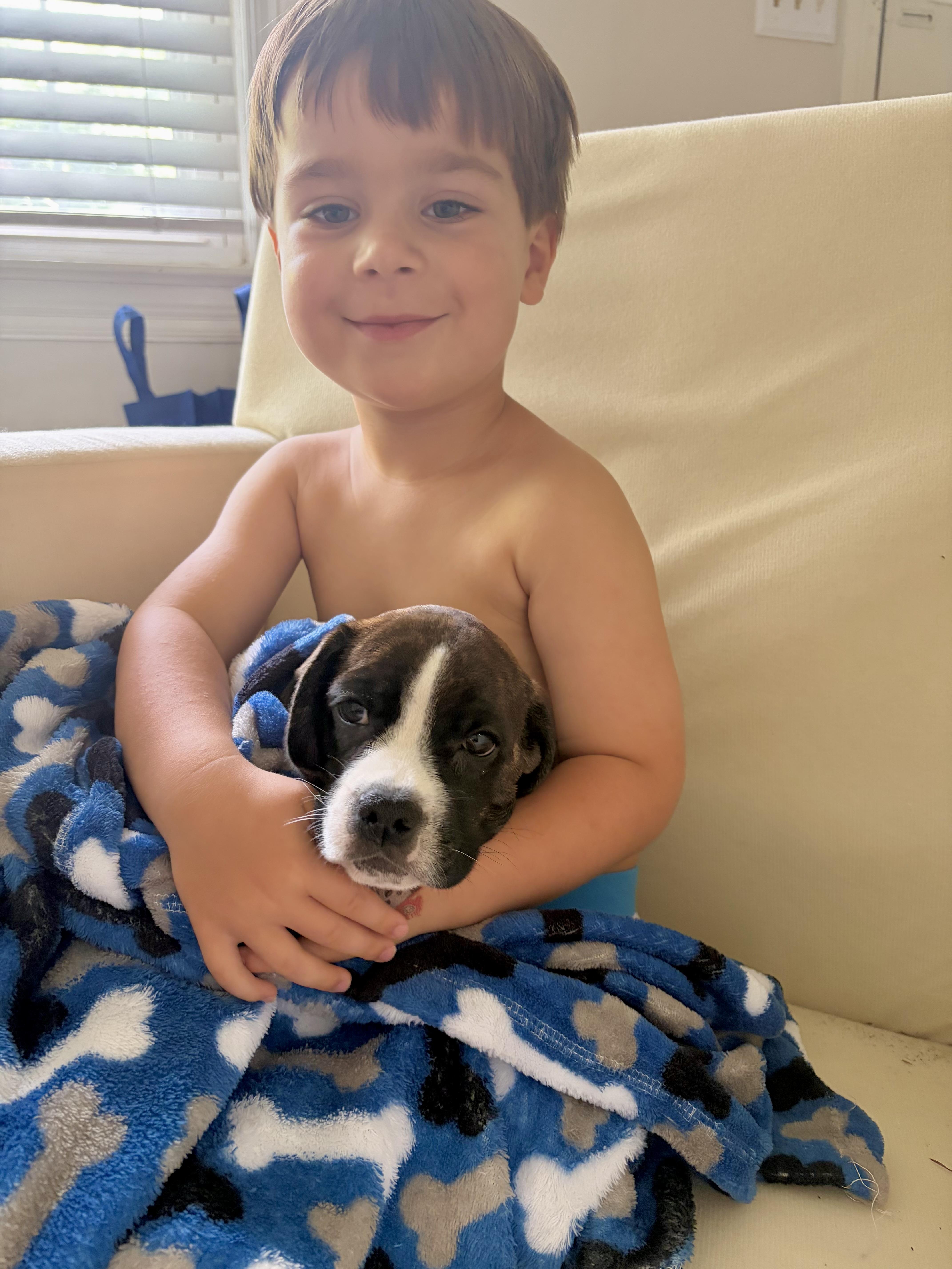 Hoppy, ADOPTABLE, Puppy Male Mixed Breed.