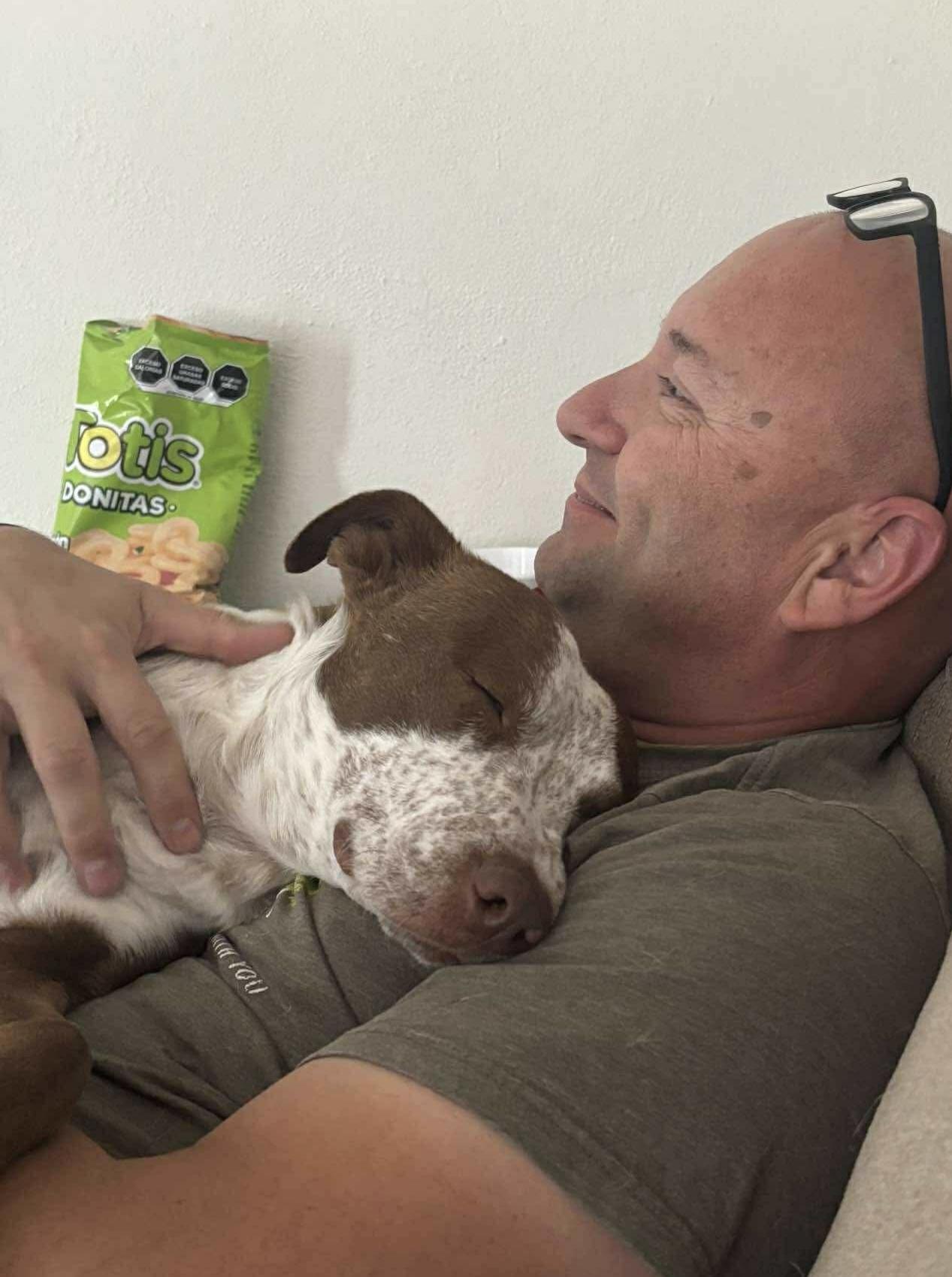 Taco, a Adoptable mixed breed in Lancaster, CA image 5/6